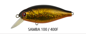 SAMBA 100400F.jpg